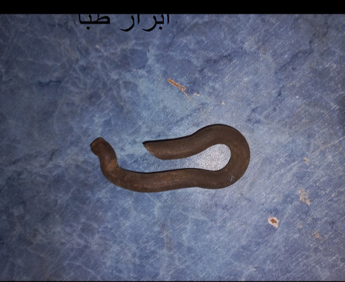 پین قورباغه ای قالب بوذرجمهر